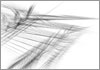 Drawing of &Aacute;gnes Hincz [Click for the larger image, 800 x 559, 231.1 kB]