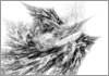 Drawing of &Aacute;gnes Hincz [Click for the larger image, 800 x 559, 112.3 kB]