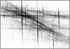 Drawing of &Aacute;gnes Hincz [Click for the larger image, 800 x 559, 263.7 kB]