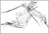Drawing of &Aacute;gnes Hincz [Click for the larger image, 800 x 559, 159.9 kB]