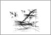 Drawing of &Aacute;gnes Hincz [Click for the larger image, 800 x 559, 118.6 kB]