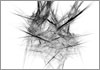 Drawing of &Aacute;gnes Hincz [Click for the larger image, 800 x 559, 226.4 kB]