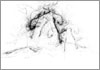Drawing of &Aacute;gnes Hincz [Click for the larger image, 800 x 559, 175.8 kB]