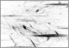 Drawing of &Aacute;gnes Hincz [Click for the larger image, 800 x 559, 269.9 kB]