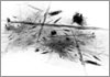 Drawing of &Aacute;gnes Hincz [Click for the larger image, 800 x 559, 227.3 kB]