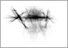 Drawing of &Aacute;gnes Hincz [Click for the larger image, 800 x 559, 110.5 kB]
