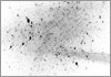 Drawing of &Aacute;gnes Hincz [Click for the larger image, 800 x 559, 309.4 kB]